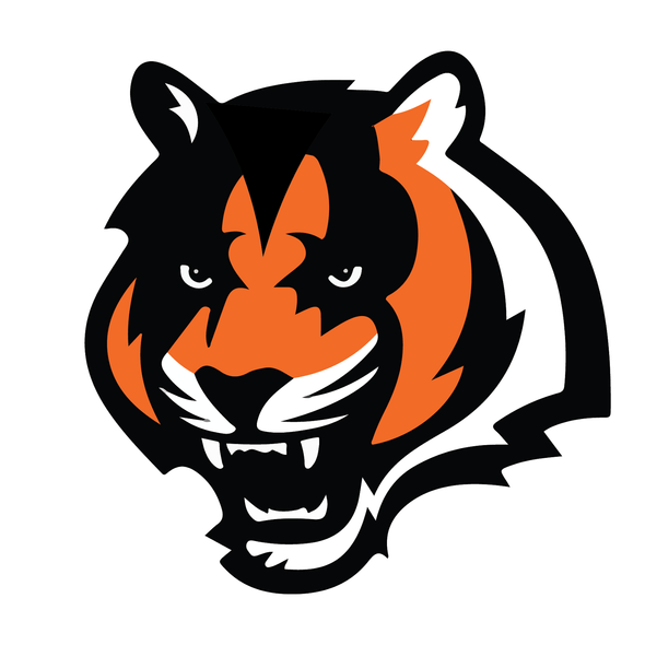 Cincinnati Bengals Heavy Metal Logo fabric transfer